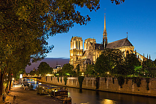 黎明,塞纳河,仰视,大教堂,巴黎,法国