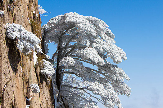 大美黄山