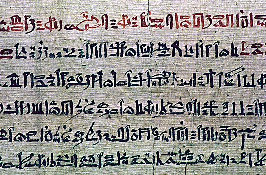 埃及,文字,书本,死,艺术家,未知