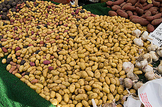 土豆,加利福尼亚,农民,市场