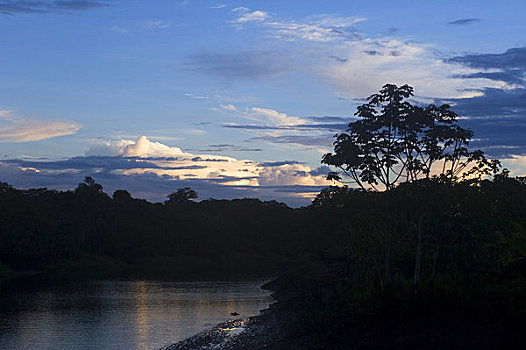 秘鲁,亚马逊河,盆地,靠近,伊基托斯,河,支流,晚间