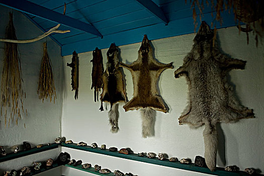 动物皮,冰岛