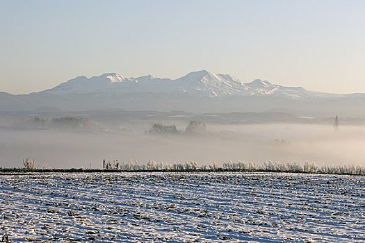 雪原