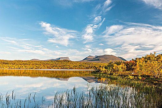 湖,山谷,后面,国家公园,北博滕省,拉普兰,瑞典,欧洲