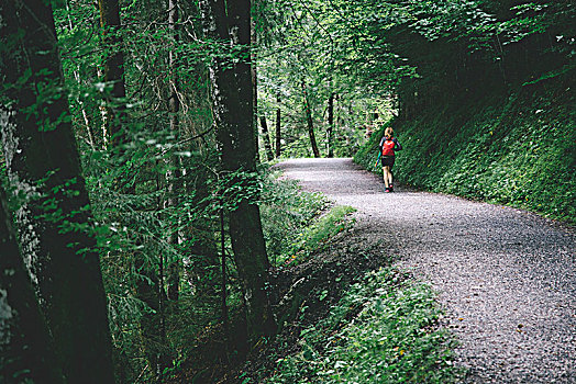 女孩,红色,背包,走,树林,拜恩州,阿尔卑斯山,德国