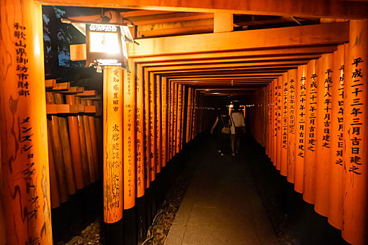 日本京都伏见稻荷大社千本鸟居夜景