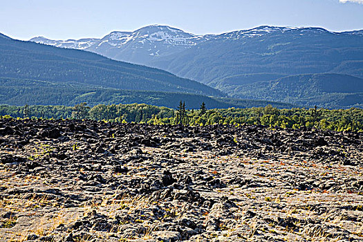 火山岩,床,纪念,省立公园,海岸,山峦,不列颠哥伦比亚省,加拿大