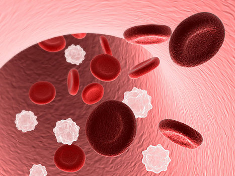 红色,白色,血细胞