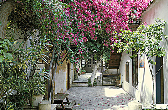 塞浦路斯,尼科西亚