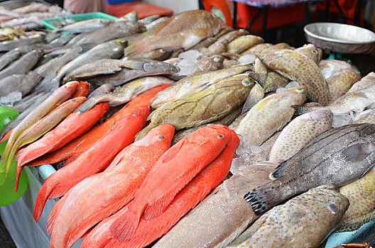 新鲜,鱼,抓住,海洋,售出,市场