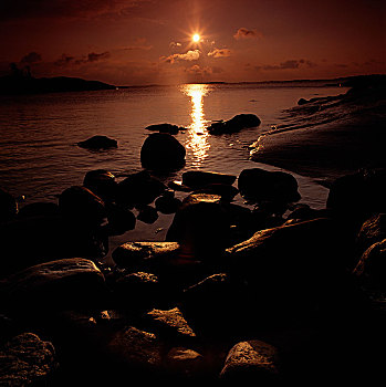 日落,海洋,瑞典