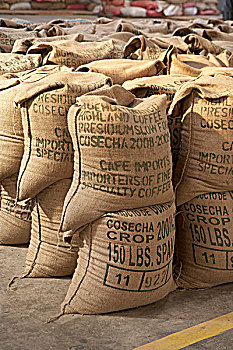 咖啡,粗麻袋,干燥,工厂,危地马拉