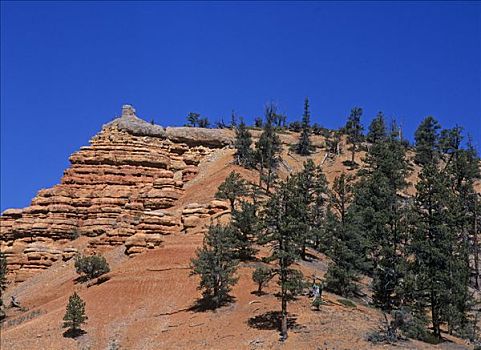 红色,峡谷,犹他,美国