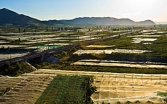 沙城葡萄酒基地