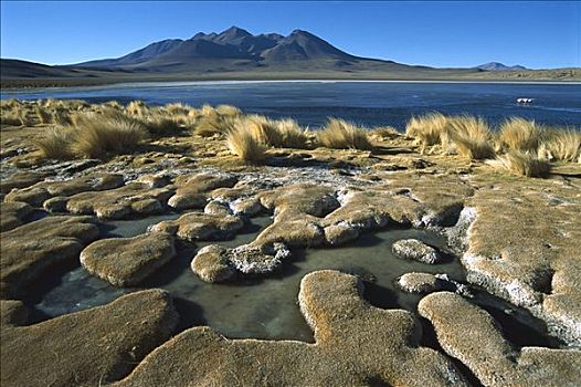 泻湖,高原,玻利维亚
