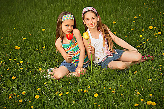 肖像,两个女孩,坐,草