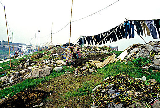 衣服,洗,污染,水,干流,流动,旁侧,城市,达卡,弄干,连接,恒河,河,孟加拉