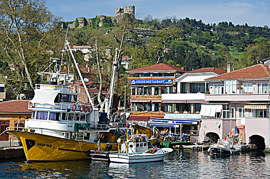 小,乡村,结束,博斯普鲁斯海峡,伊斯坦布尔,土耳其