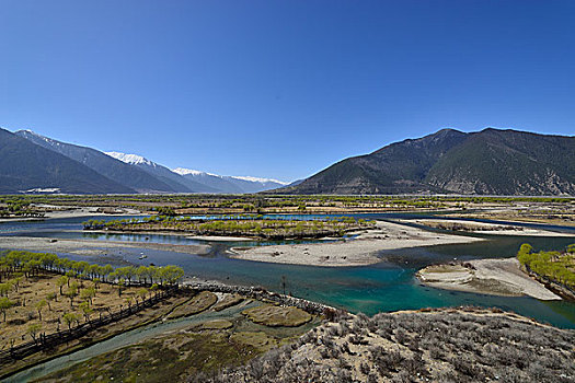 尼洋河风光