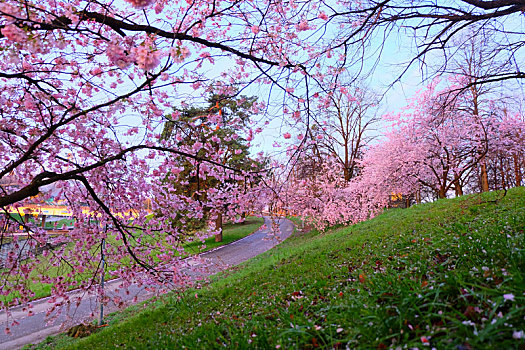 munich慕尼黑olympia,park