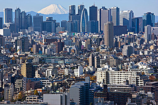 风景,清晰,冬天,白天,雪冠,山,富士山,上升,摩天大楼,新宿,东京,日本