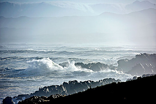 自然保护区,沿岸,靠近,南非,西海角