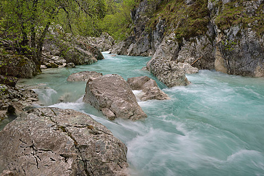 急流,石头,野外,河,索卡谷,朱利安阿尔卑斯,斯洛文尼亚,欧洲