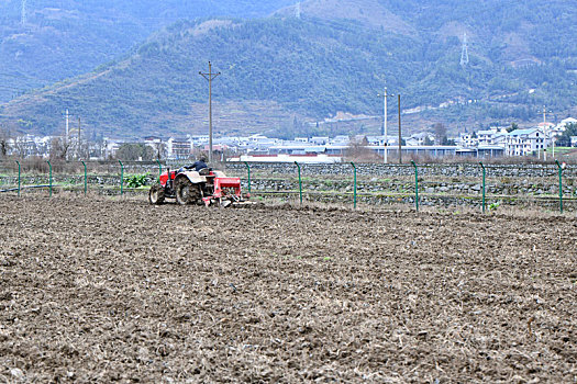 贵州遵义,现代农业园区生产忙