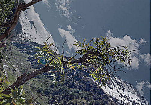 高山景色