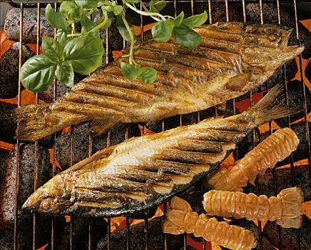 鱼肉,药草,挪威海蛰虾,发光,烧烤