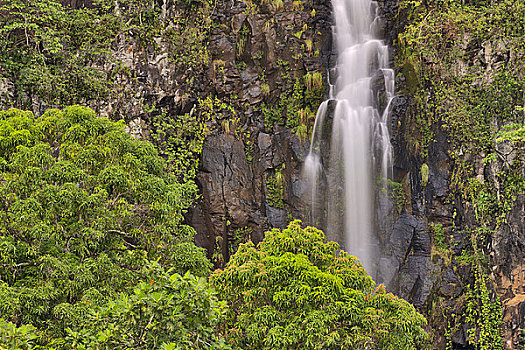 瀑布,树林,威陆亚,毛伊岛,夏威夷,美国