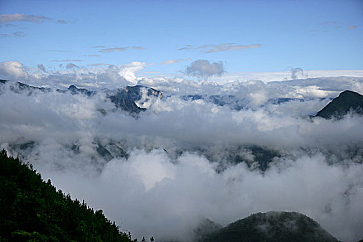 巫溪云台山清晨雨过天晴的云雾