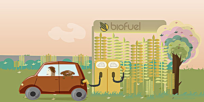 汽车,生物燃料,泵