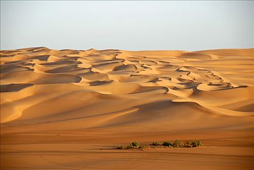 无限,留白,沙漠,利比亚