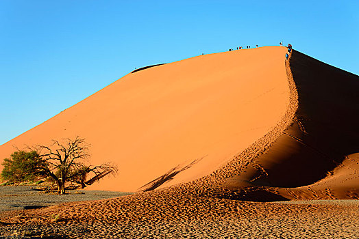 沙丘,纳米比诺克陆夫国家公园,纳米布沙漠,纳米比亚,非洲