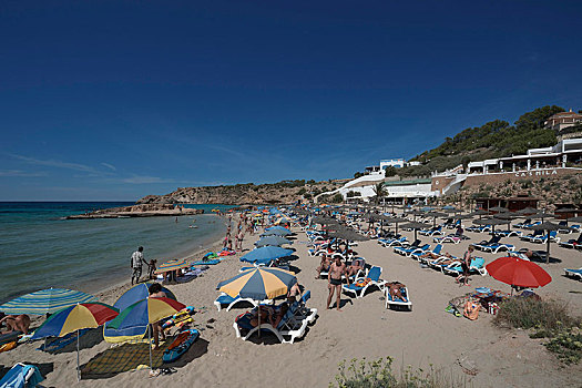 太阳椅,海滩,伊比萨岛,岛屿,松树,巴利阿里群岛,西班牙,欧洲