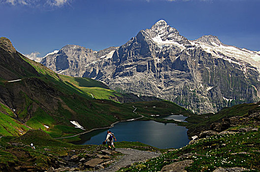 阿尔卑斯山,山,贝塔峰,左边,右边,湖,格林德威尔,伯恩高地,瑞士,欧洲