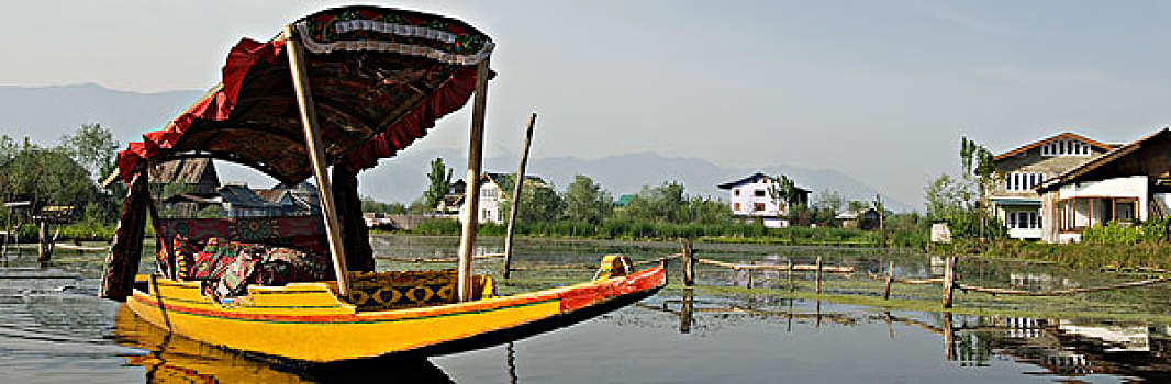 湖,斯利那加,查谟-克什米尔邦,印度
