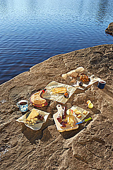选择,奶酪,放置,岩石上,旁侧,湖,野外,树林,公园,纽约,美国
