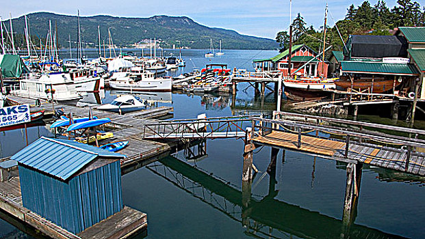 船,码头,温哥华,小湾,不列颠哥伦比亚省,加拿大