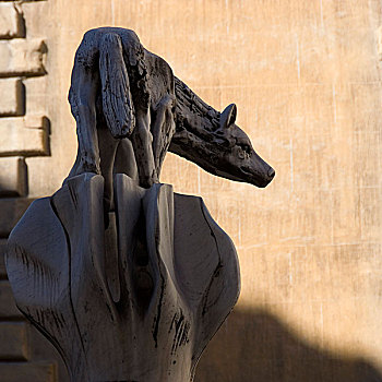 雕塑,狼,建筑细节,锡耶纳,意大利