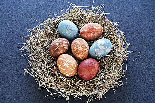 涂绘,复活节彩蛋,鸟窝