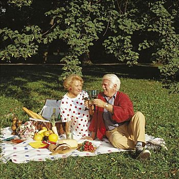 老人,女人,退休老人,老年,夫妻,野餐,公园,篮子,野餐篮
