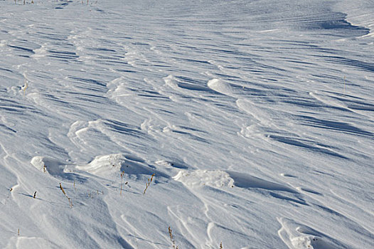 起伏的雪地