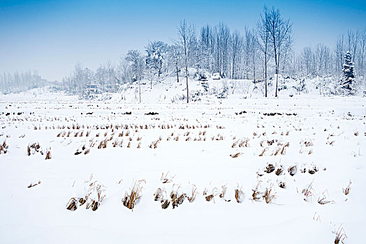 中国河南信阳乡村雪景