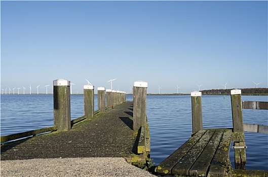 码头,港口,荷兰