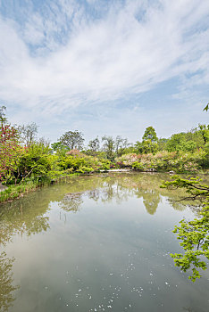 中国江苏南京栖霞山桃花涧的池塘桃花和园林建筑