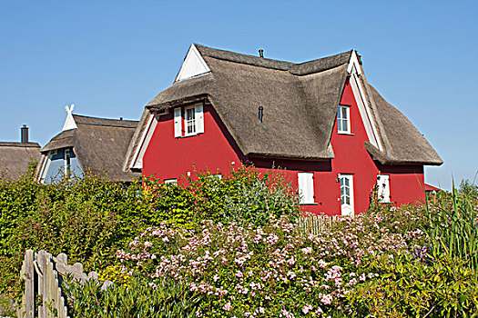 房子,茅草屋顶,屋顶,吕根岛,梅克伦堡前波莫瑞州,德国,欧洲