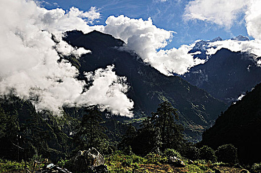 乡村,河谷,安娜普纳,保护区,尼泊尔