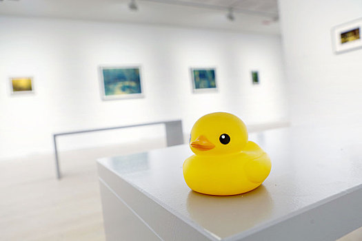 放在美术馆里的小黄鸭